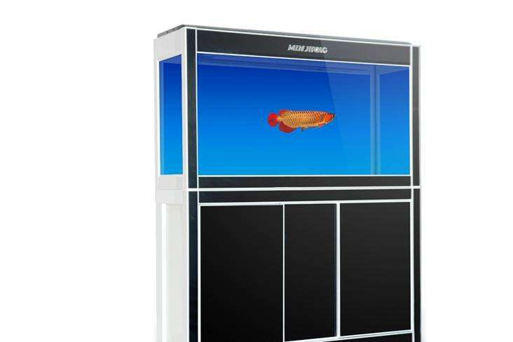 闽江鱼缸和森森鱼缸哪个好? 闽江鱼缸和森森鱼缸哪个好?