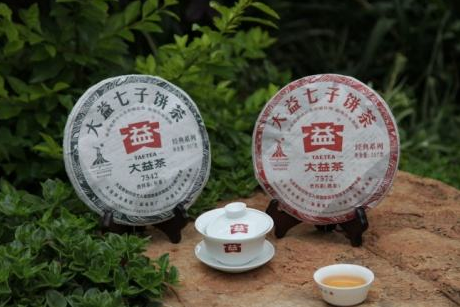 大益普洱茶哪个系列好？