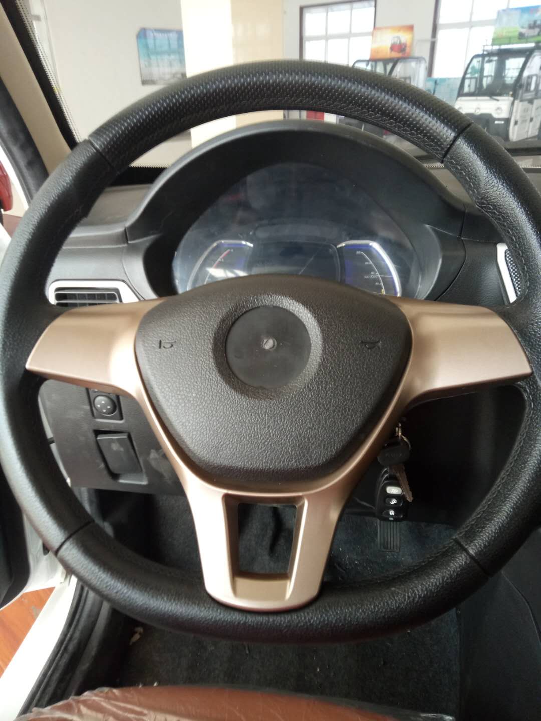 帝隆DL M3S电动四轮车巡逻车消防代步车