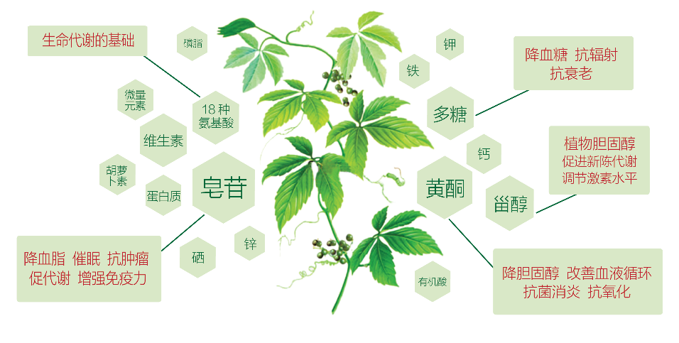 为药房夏季销量装上新引擎 绞谷茶在防暑降温团购市场异军突起