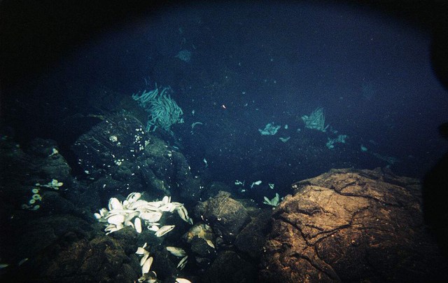 净水机有必要装吗?净水机到底应该怎么挑选?东丽巴赫净水 净水机有必要装吗?净水机到底应该怎么挑选?东丽巴赫净水