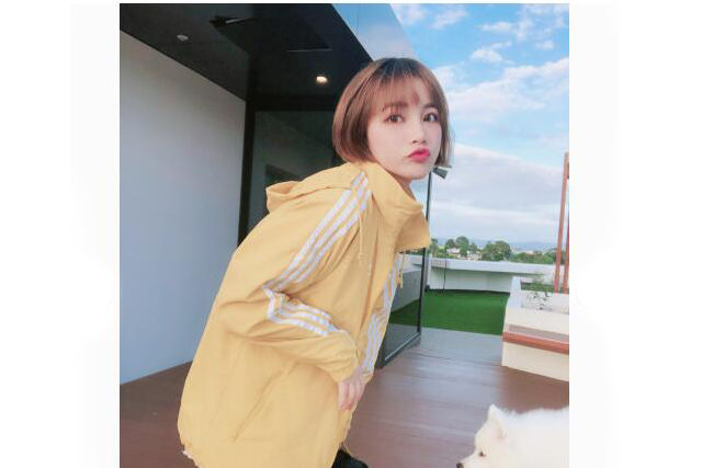 阿迪达斯女外套最新款?阿迪达斯三叶草柠檬黄外套好看吗? 阿迪达斯女外套最新款?阿迪达斯三叶草柠檬黄外套好看吗?