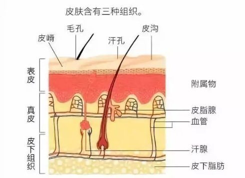 纹绣师怎样既专业又易懂地回答顾客技术性问题？
