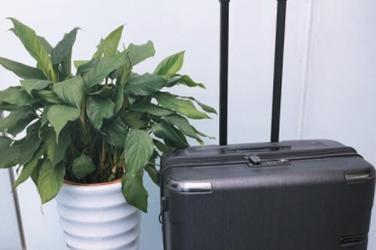 拉杆箱品牌推荐?新秀丽EVOA拉杆箱好不好用? 拉杆箱品牌推荐?新秀丽EVOA拉杆箱好不好用?