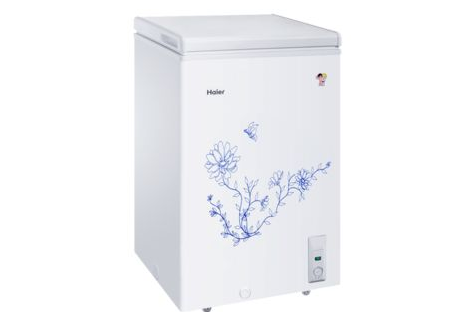 海尔家用小冰柜推荐哪款?价格和冷冻效果怎么样? 海尔家用小冰柜推荐哪款?价格和冷冻效果怎么样?