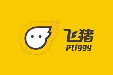 飞猪旅行与土耳其航空达成合作 形成互惠互利局面 飞猪旅行与土耳其航空达成合作 形成互惠互利局面