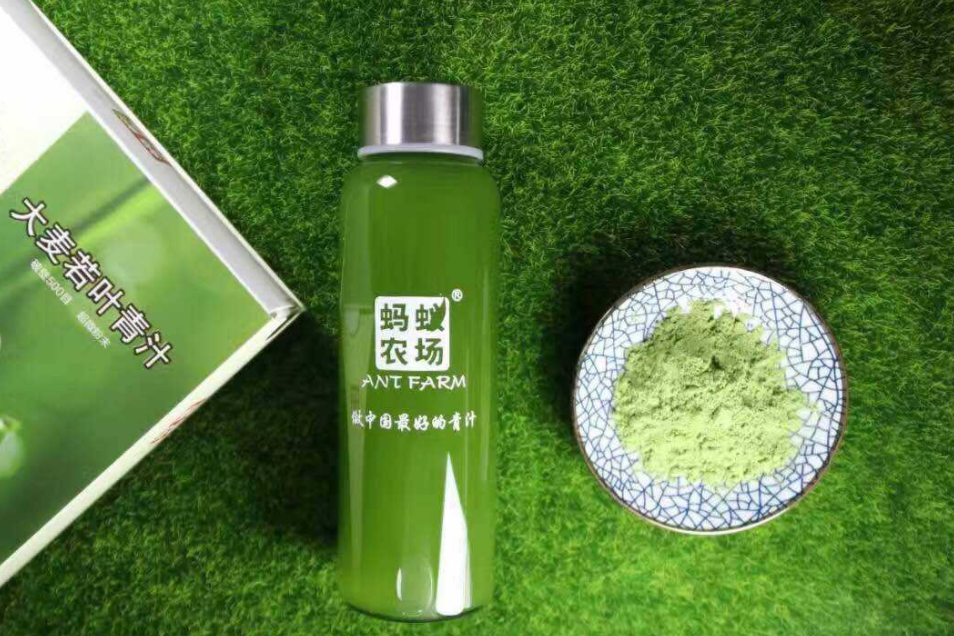 蚂蚁农场青汁和日本大麦若叶青汁哪个好? 蚂蚁农场青汁和日本大麦若叶青汁哪个好?
