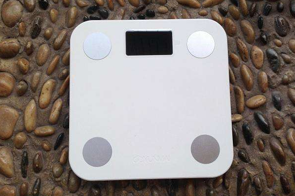 体脂秤真能测出脂肪吗？脂肪秤能连Wi-Fi吗？