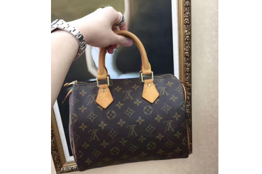 lv speedy 25国内价格?lv speedy 25内胆包好用吗? lv speedy 25国内价格?lv speedy 25内胆包好用吗?