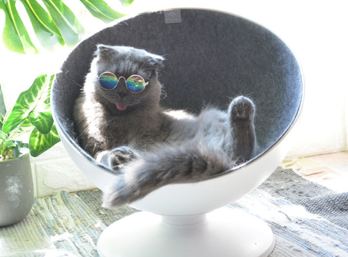 猫喜欢什么类型的猫窝?淘宝上猫窝的价格? 猫喜欢什么类型的猫窝?淘宝上猫窝的价格?