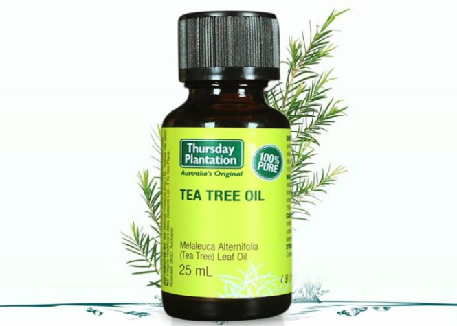 星期四茶树精油祛痘吗?该怎么用? 星期四茶树精油祛痘吗?该怎么用?