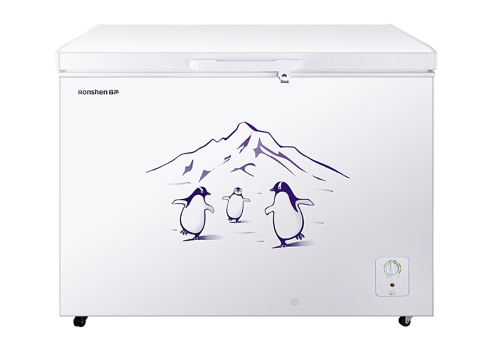 容声冰柜哪款好?容声冰柜型号推荐? 容声冰柜哪款好?容声冰柜型号推荐?