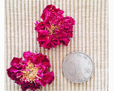 莫小在的玫瑰花茶好吗? 莫小在的玫瑰花茶好吗?