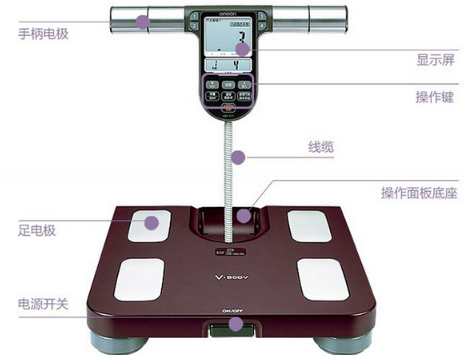 欧姆龙体脂秤怎么选?欧姆龙体脂秤有什么不同的功能? 欧姆龙体脂秤怎么选?欧姆龙体脂秤有什么不同的功能?