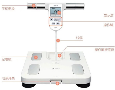 欧姆龙体脂秤怎么选？欧姆龙体脂秤有什么不同的功能？