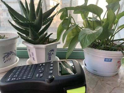 双12买了一款手持标签机LP5125B? 双12买了一款手持标签机LP5125B?