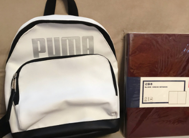 puma双肩包什么材质？价格多少？