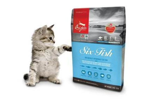 渴望猫粮哪种口味好?渴望猫粮哪款值得买? 渴望猫粮哪种口味好?渴望猫粮哪款值得买?