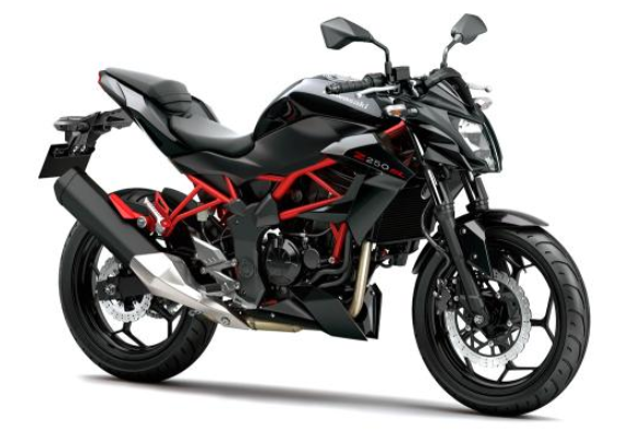 川崎z250摩托使用？川崎z250适合新手吗？