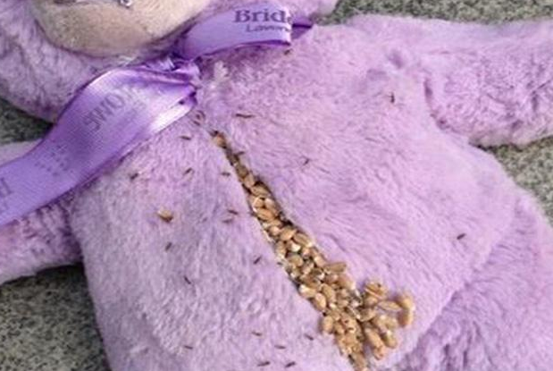 家长朋友们需要注意的 玩具可能潜在的6大危害 家长朋友们需要注意的 玩具可能潜在的6大危害