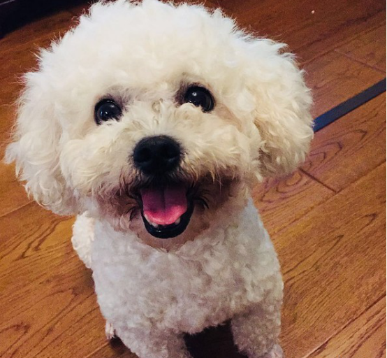 情人节又双叒叕来了,礼物准备好了么?——礼物指南 情人节又双叒叕来了,礼物准备好了么?——礼物指南