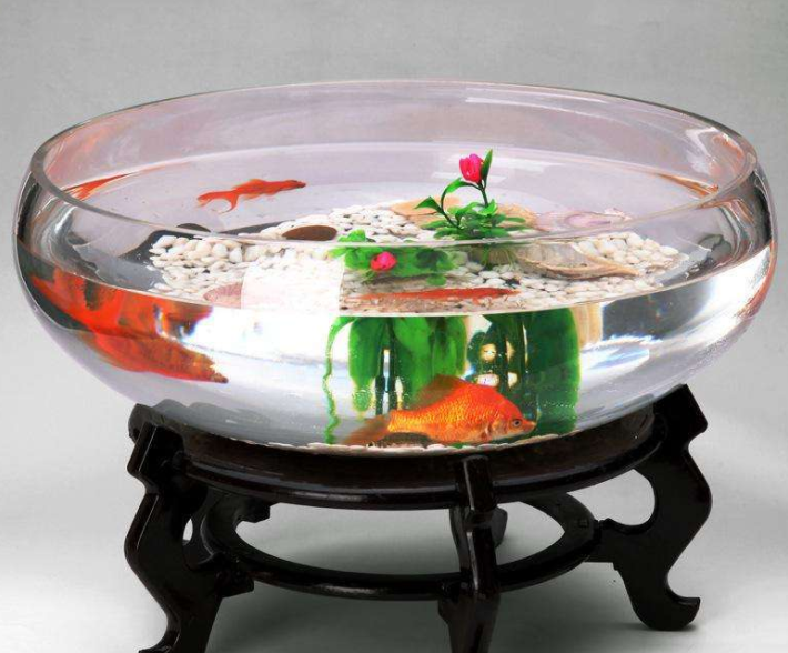 【鱼缸知识百科】鱼缸的详细分类大全 【鱼缸知识百科】鱼缸的详细分类大全