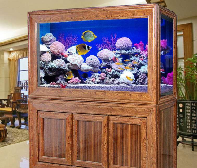 【鱼缸知识百科】鱼缸的详细分类大全 【鱼缸知识百科】鱼缸的详细分类大全