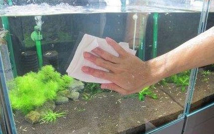 鱼缸怎么清洗 清洗鱼缸的小技巧 鱼缸怎么清洗 清洗鱼缸的小技巧