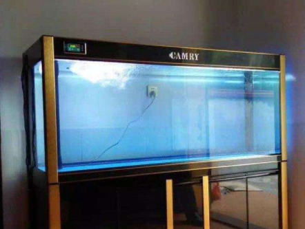 鱼缸怎么清洗 清洗鱼缸的小技巧 鱼缸怎么清洗 清洗鱼缸的小技巧