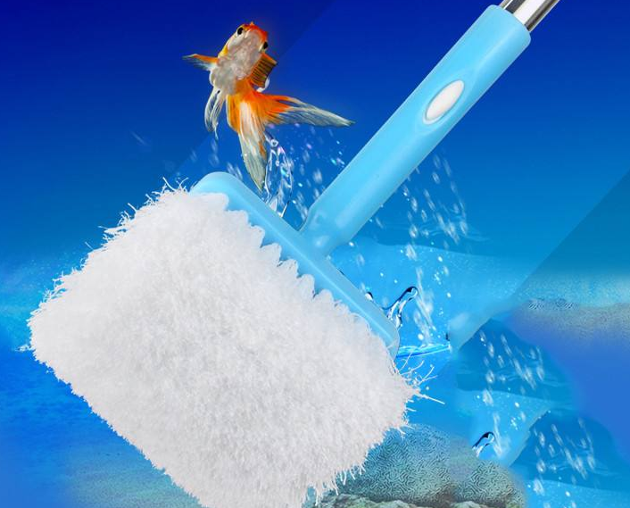 鱼缸怎么清洗 清洗鱼缸的小技巧 鱼缸怎么清洗 清洗鱼缸的小技巧