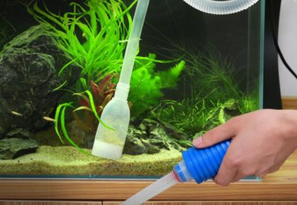 鱼缸怎么清洗 清洗鱼缸的小技巧 鱼缸怎么清洗 清洗鱼缸的小技巧