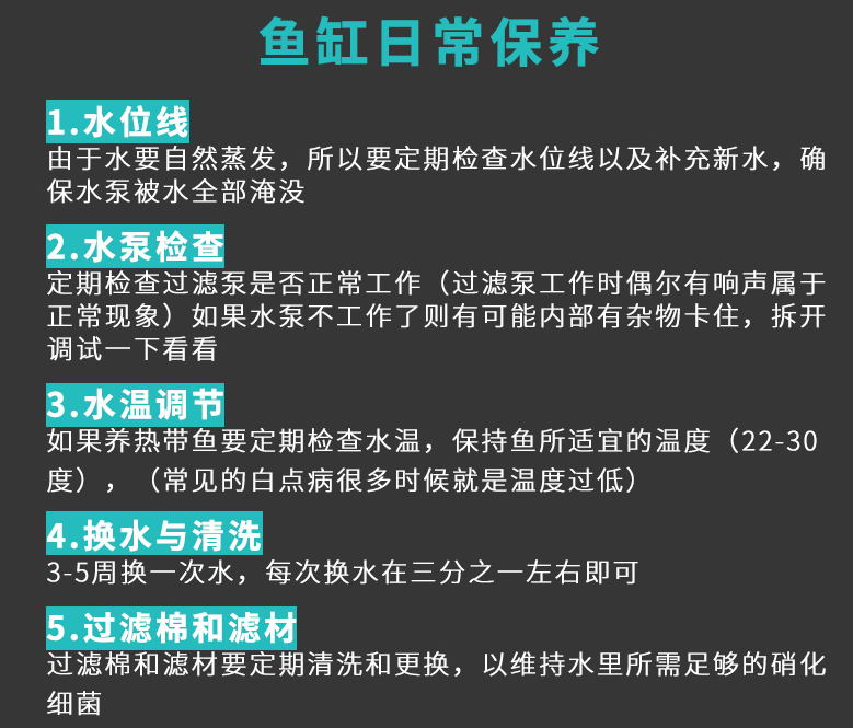 养鱼新手如何选择鱼缸 以下7点值得借鉴