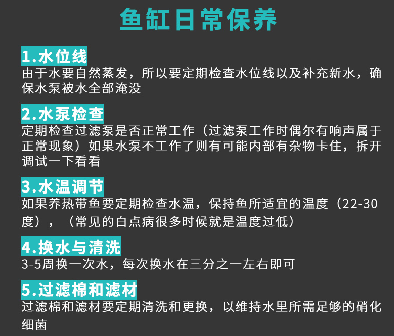 养鱼新手如何选择鱼缸 以下7点值得借鉴 养鱼新手如何选择鱼缸 以下7点值得借鉴