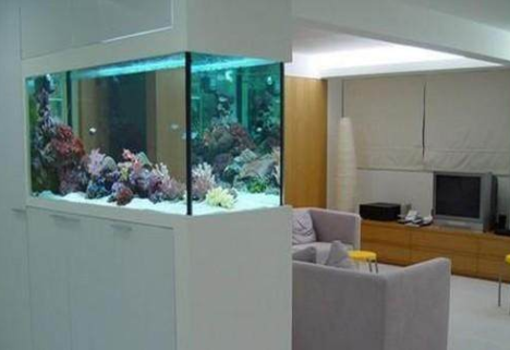 【鱼缸摆放常识】——鱼缸的风水作用和8大摆放禁忌 【鱼缸摆放常识】——鱼缸的风水作用和8大摆放禁忌
