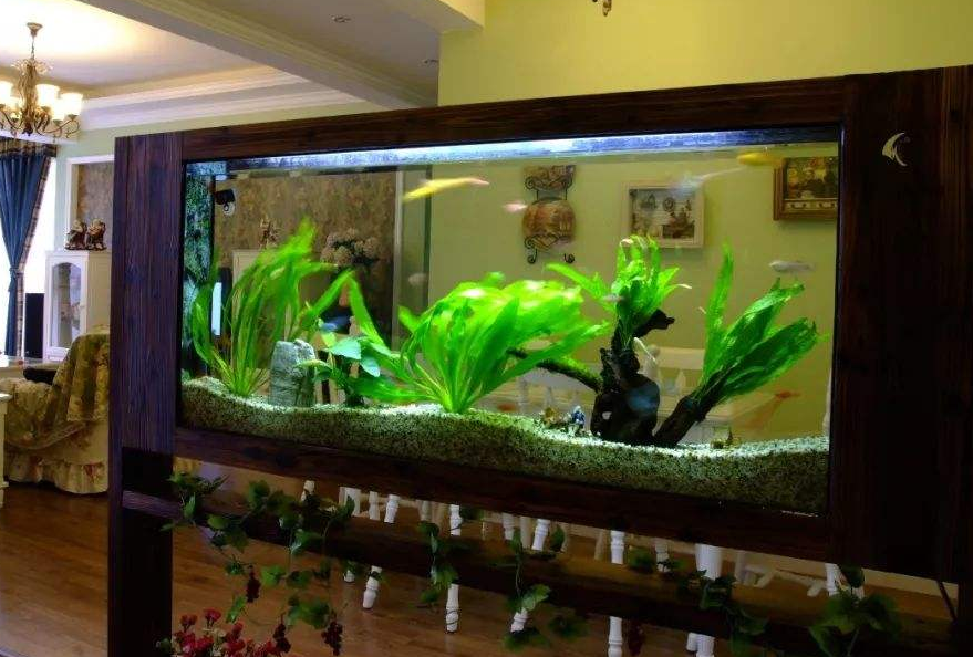 【鱼缸摆放常识】——鱼缸的风水作用和8大摆放禁忌 【鱼缸摆放常识】——鱼缸的风水作用和8大摆放禁忌