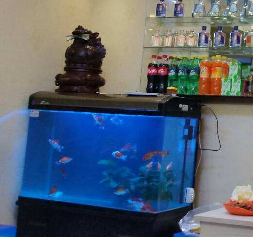 【鱼缸摆放常识】——鱼缸的风水作用和8大摆放禁忌 【鱼缸摆放常识】——鱼缸的风水作用和8大摆放禁忌