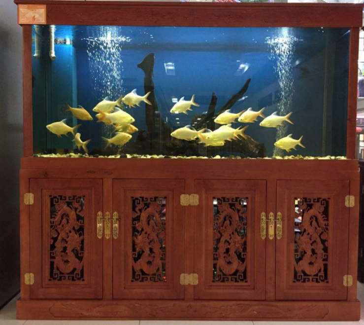 【鱼缸摆放常识】——鱼缸的风水作用和8大摆放禁忌 【鱼缸摆放常识】——鱼缸的风水作用和8大摆放禁忌