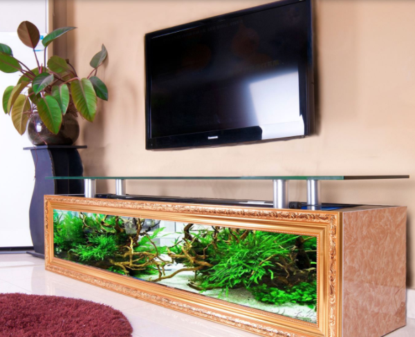 【鱼缸摆放常识】——鱼缸的风水作用和8大摆放禁忌 【鱼缸摆放常识】——鱼缸的风水作用和8大摆放禁忌