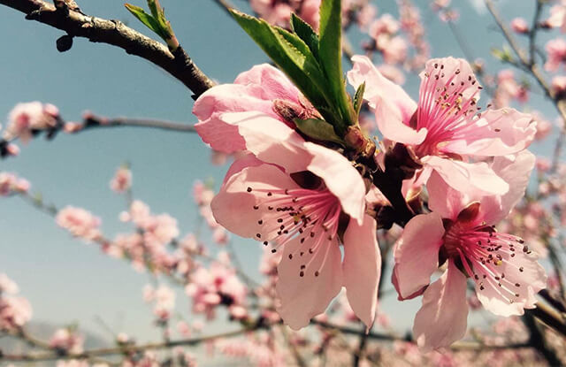 春季如何护肤?以下注意事项需牢记 春季如何护肤?以下注意事项需牢记