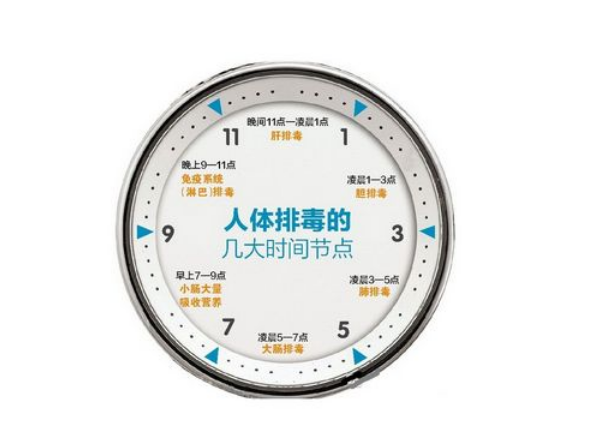 【养生小知识】——酵素排毒原理是什么？