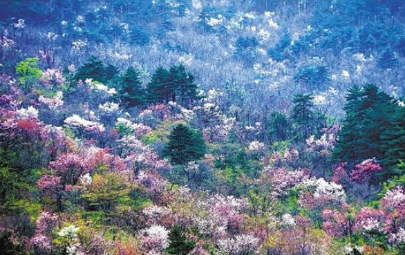 这份登山装备清单 让你免除路途后顾之忧 这份登山装备清单 让你免除路途后顾之忧