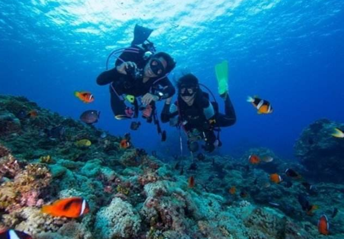 想要拥抱大海 这些潜水装备不可少 想要拥抱大海 这些潜水装备不可少