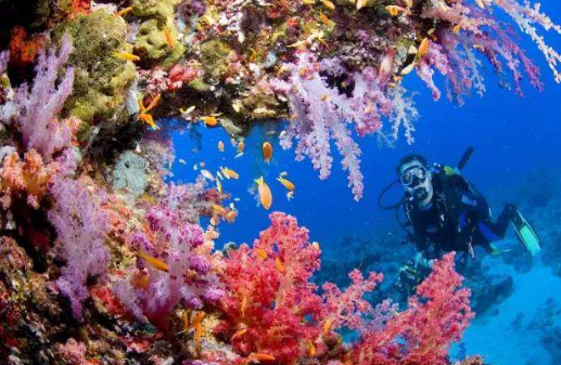 想要拥抱大海 这些潜水装备不可少 想要拥抱大海 这些潜水装备不可少