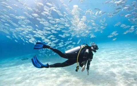 想要拥抱大海 这些潜水装备不可少 想要拥抱大海 这些潜水装备不可少