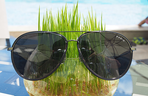 还不知道怎么凹造型?派丽蒙太阳镜开箱简评 还不知道怎么凹造型?派丽蒙太阳镜开箱简评