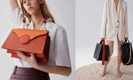 danse lente有中国官网嘛？danse lente包包款式推荐？