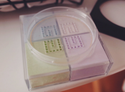 黛珂散粉和纪梵希散粉哪个好用？推荐黛珂？