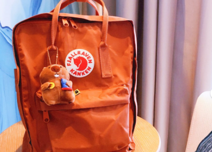 北极狐双肩包classic肩带调节?哪个颜色好看? 北极狐双肩包classic肩带调节?哪个颜色好看?