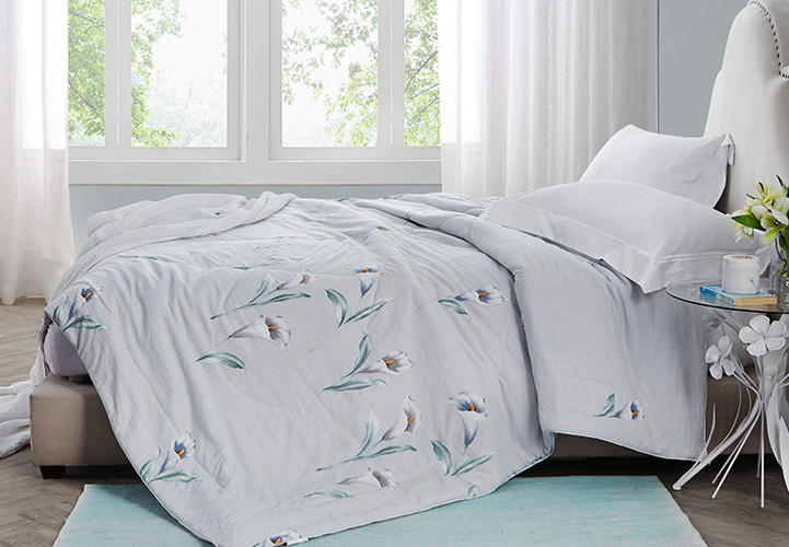 钱皇蚕丝被多少钱?钱皇蚕丝被可以夏天用吗? 钱皇蚕丝被多少钱?钱皇蚕丝被可以夏天用吗?