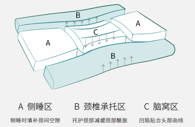 菠萝斑马颈乐枕哪里可以购买？菠萝斑马颈乐枕可以机洗吗？
